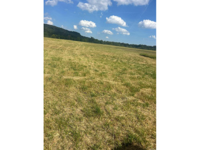 Nice property with lots of potential, River front would be ideal - photo 9