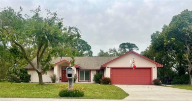 Louise Lake Home For Sale in Deltona Florida