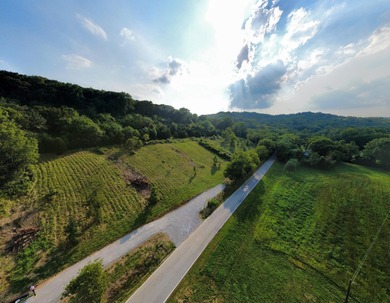 (private lake, pond, creek) Acreage For Sale in Morning View Kentucky