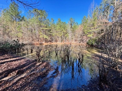 (private lake, pond, coastal) Acreage For Sale in Carthage Mississippi