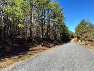 This secluded hunting, recreation and timberland investment - photo 3