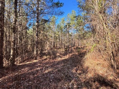 This secluded hunting, recreation and timberland investment - photo 4