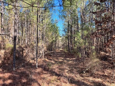 This secluded hunting, recreation and timberland investment - photo 5