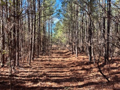 This secluded hunting, recreation and timberland investment - photo 6