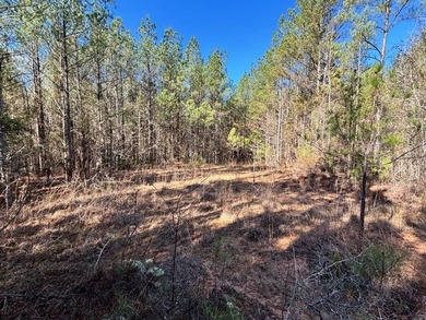 This secluded hunting, recreation and timberland investment - photo 7