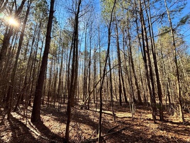 This secluded hunting, recreation and timberland investment - photo 8