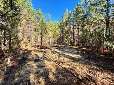 This secluded hunting, recreation and timberland investment - photo 9