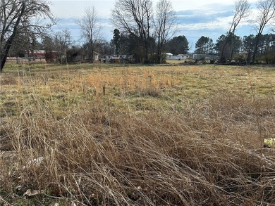 Lake Dardanelle Commercial For Sale in Knoxville Arkansas