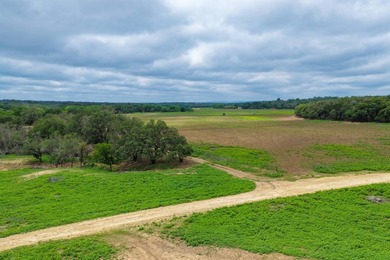 Located just 30+/- minutes from historic Fredericksburg, this - photo 8