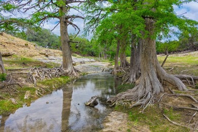 Located just 30+/- minutes from historic Fredericksburg, this - photo 9