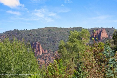Presenting over 600 feet of private Roaring Fork River frontage - photo 14