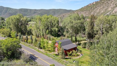 Presenting over 600 feet of private Roaring Fork River frontage - photo 17