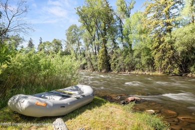 Presenting over 600 feet of private Roaring Fork River frontage - photo 23