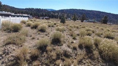 777 Old Pioneer Town Rd - photo 3