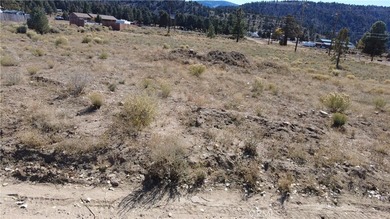777 Old Pioneer Town Rd - photo 4