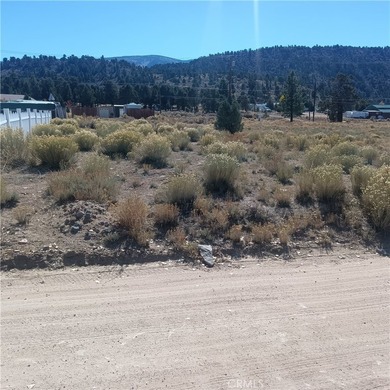 777 Old Pioneer Town Rd - photo 5