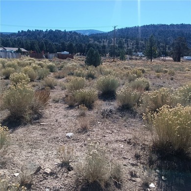 777 Old Pioneer Town Rd - photo 6