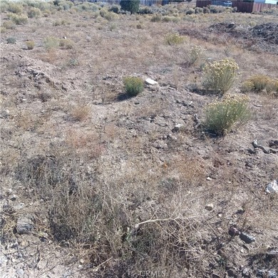 777 Old Pioneer Town Rd - photo 9