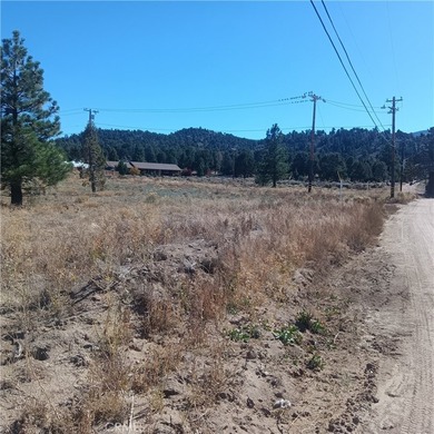 777 Old Pioneer Town Rd - photo 10
