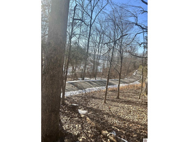 Attention lake lovers! Waterview lots in the beautiful Canton - photo 2