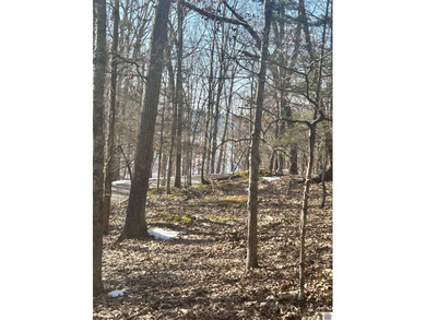 Attention lake lovers! Waterview lots in the beautiful Canton - photo 3