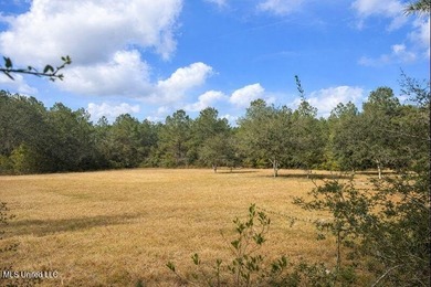 (private lake, pond, coastal) Acreage For Sale in Kiln Mississippi