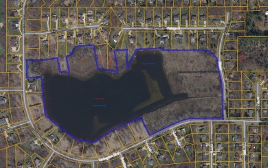 (private lake, pond, creek) Acreage For Sale in Jackson Michigan