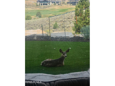 Welcome to 9080 North Uinta Drive. Sitting majestically above - photo 15