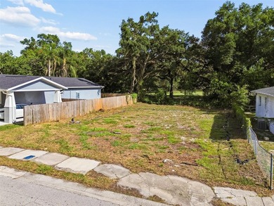 Excellent opportunity to build in one of Tampa's fastest-growing - photo 22