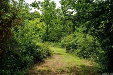 70-Acre Ozark Sanctuary - featuring Luxury Barndominium & - photo 41