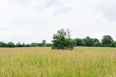 70-Acre Ozark Sanctuary - featuring Luxury Barndominium & - photo 45