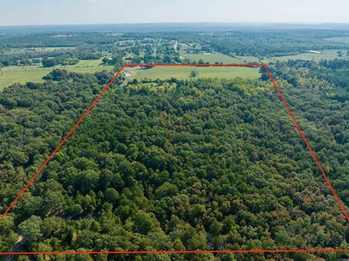70-Acre Ozark Sanctuary - featuring Luxury Barndominium & - photo 46