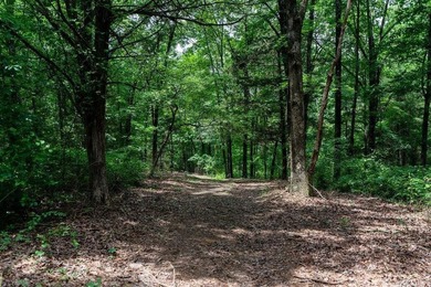 70-Acre Ozark Sanctuary - featuring Luxury Barndominium & - photo 49