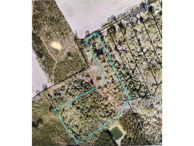 (private lake, pond, coastal) Acreage For Sale in Rincon Georgia
