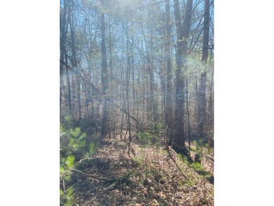 Lake Hickory Lot For Sale in Hickory North Carolina