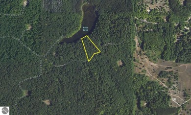 Lake Acreage For Sale in Mancelona, Michigan