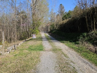Lake Lot For Sale in Smithville, Tennessee