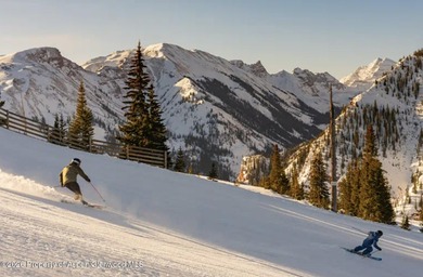 Experience the best of four-season mountain living in this - photo 33