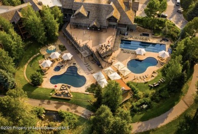 Experience the best of four-season mountain living in this - photo 34