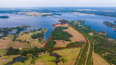 Approx 150 waterfront acres that might be the last undeveloped - Lake Acreage For Sale in Pittsburg, Texas