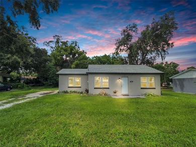 Lake Martha Home For Sale in Winter Haven Florida