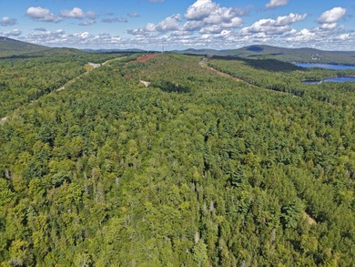 Located between Ellsworth & Bangor this 223+/- acre wooded - photo 3