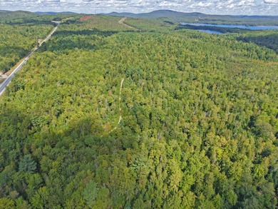 Located between Ellsworth & Bangor this 223+/- acre wooded - photo 4