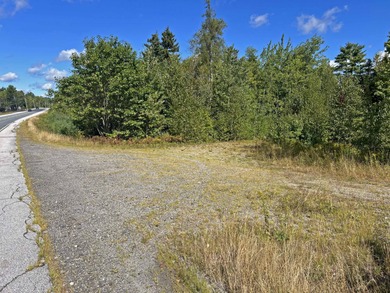 Located between Ellsworth & Bangor this 223+/- acre wooded - photo 8