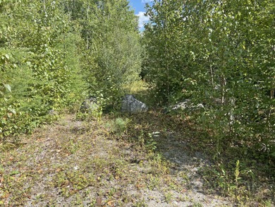 Located between Ellsworth & Bangor this 223+/- acre wooded - photo 9