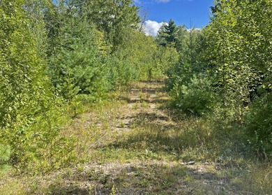 Located between Ellsworth & Bangor this 223+/- acre wooded - photo 10