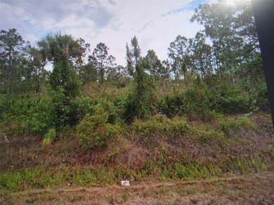 Lehigh Acres Area Lot For Sale in Lehigh Acres Florida
