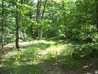 Lake Acreage For Sale in Roscommon, Michigan