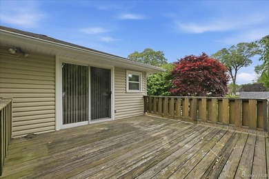 Beautifully maintained high-ranch home featuring 4 bedrooms and - photo 37