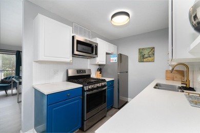 This newly renovated 1-bedroom, 1-bath condo offers modern - photo 8